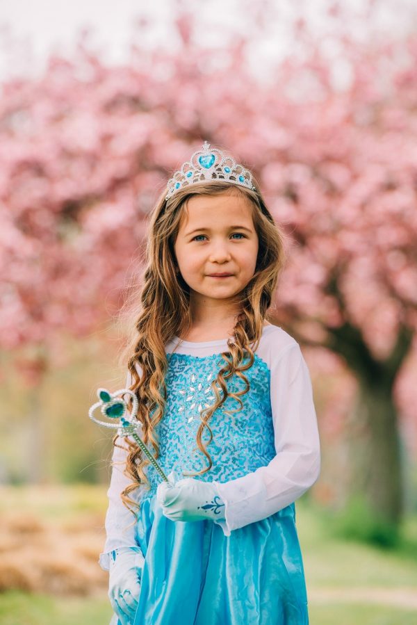 Herdenkings Overtreffen Vergelding Het Betere Merk - Frozen Elsa prinsessenjurk met accessoires