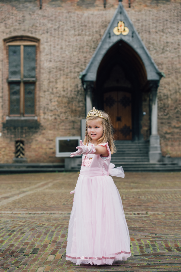 graan schaduw fotografie Prinsessenjurk Deluxe - Roze - met pailletten kroon - Inclusief accessoires  - Het Betere Merk